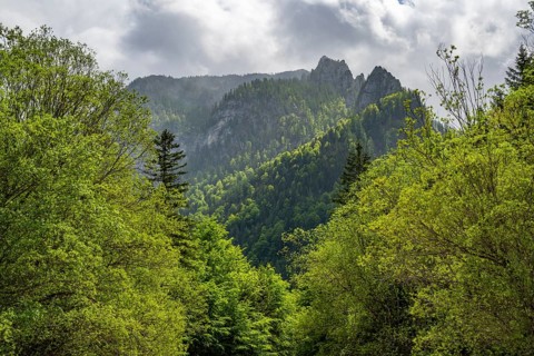View into the mountains next to Lake Offensee on a rainy day in spring, Salzkammergut, Austria,