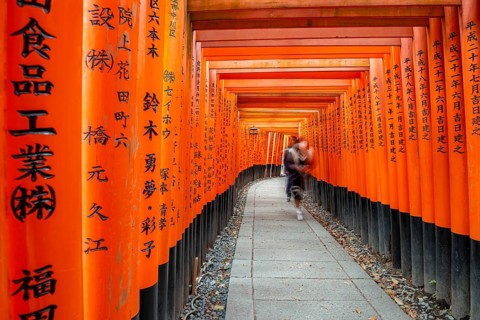 Visitors on a journey through hundreds of red traditional torii gates, Fushimi Inari-taisha, Shinto
