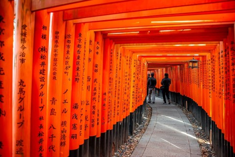 Walk through hundreds of red traditional torii gates, Fushimi Inari Taisha, Shinto Shrine, Fushimi