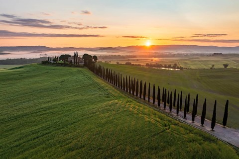 Poggio Covili estate with cypress alley (Cupressus) at sunrise, near San Quirico d'Orcia, Val