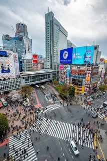 Modern houses with colorful neon signs and large road intersection, Shibuya Crossing from above,