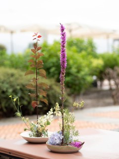 Two ikebana arrangements created during a workshop, featuring purple loosestrife, hydrangea, and