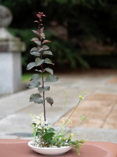 Delicate ikebana flower arrangement featuring red leaves, white flowers, and greenery in a white