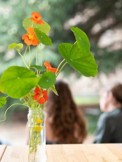 Orange nasturtium flowers arranged in a glass jar during an ikebana workshop, bringing nature's
