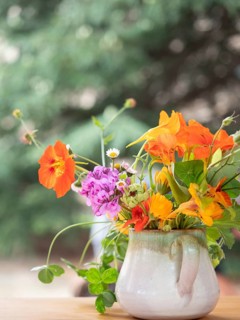 Florist creating colorful flower arrangement with nasturtiums and geraniums during ikebana workshop