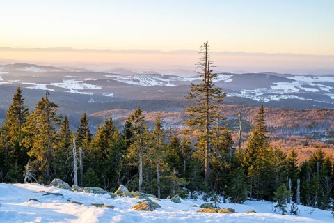 View from Mount Lusen over the hills of the bavarian forest at sunrise in winter, Bavaria, Germany
