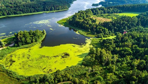 Green algae on the lake. Aerial view of nature, landscape with hills and forest in summer, cloudy