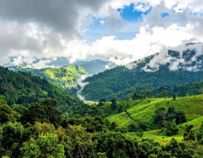 Banner background of tropical forest landscape scene, green wild jungle, cloudy sky at morning,