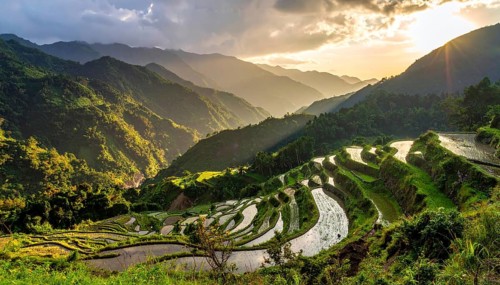Early morning light bathes Philippines rice terraces cascading down mountain slopes, beautiful
