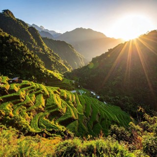 Early morning light bathes Philippines rice terraces cascading down mountain slopes, beautiful