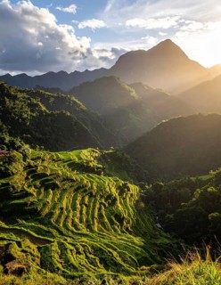 Early morning light bathes Philippines rice terraces cascading down mountain slopes, beautiful
