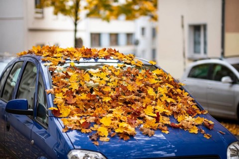 A car is covered with a thick layer of autumn leaves in autumn, Wuppertal, Germany