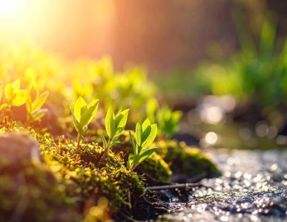 Beautiful spring detailed stream of fresh water, vibrant blooming young green plants, wallpaper