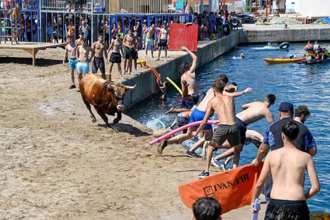 Bous a la Mar Fair, in English Bulls in the Sea, Bullfighting, Javea or Xàbia, Alicante Province,
