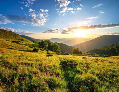 Fresh summer hilly Landscape with blooming Meadow, green plants, Blue Sky with cloudy sky, serene