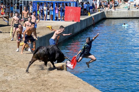 Bous a la Mar Fair, in English Bulls in the Sea, Bullfighting, Javea or Xàbia, Alicante Province,