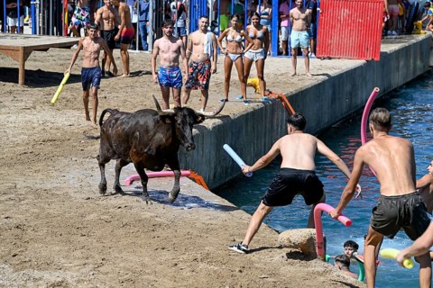 Bous a la Mar Fair, in English Bulls in the Sea, Bullfighting, Javea or Xàbia, Alicante Province,