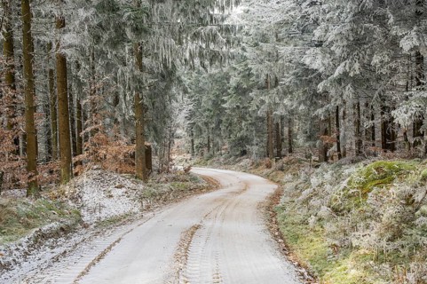 Forest road going through a mixed forest white from roarfrost on a sunny day in winter, Bavaria,