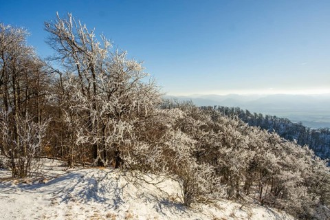 View over the hills and valleys from the mountain with hoarfrost on the branches in winter, Vápec,