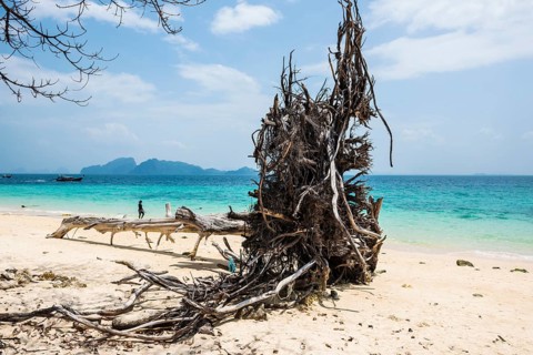 White sandy beach, Sunrise Beach, Koh Kradan, Hat Chao Mai National Park, Trang Province, Southern