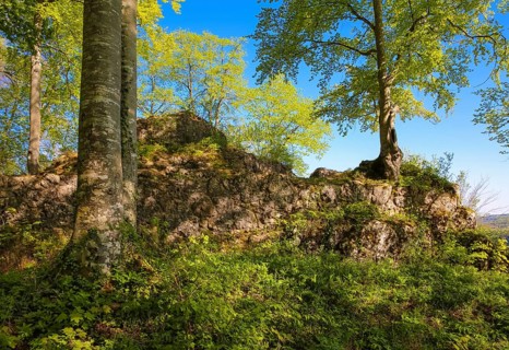 Ruin of Alter Lichtenstein near Lichtenstein Castle, eaves of the Swabian Alb, trees, deciduous