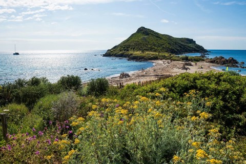 Wild beach, Sentier du littoral, Plage Ranc, Cap Taillat, Saint Tropez, Var, French Riviera,