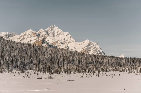 Winter road trip on the Icefields Parkway with lots of snow and ice, Banff National Park, Jasper