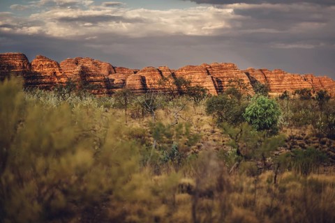 Bungle Bungle Range, Outback, hiking in Australia in high heat, Western Australia, Australia
