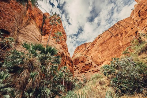 Bungle Bungles in Australia in the Outback, Australia