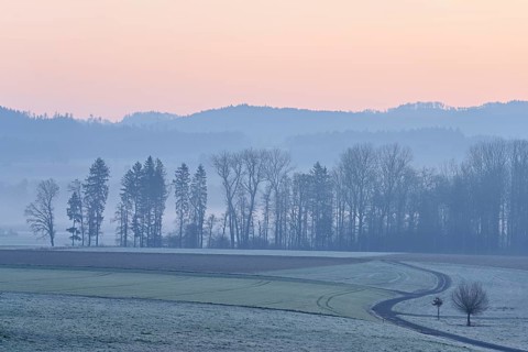 Meadows and trees in the early morning mist in the light of dawn, Reusstal, Aristau, Freiamt,