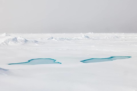 Sea ice at the ice edge, 82nd parallel, Spitsbergen, Svalbard