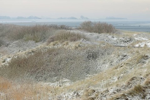 View over the snow-covered dune landscape of Norddeich, Wadden Sea at low tide, North Sea, Lower