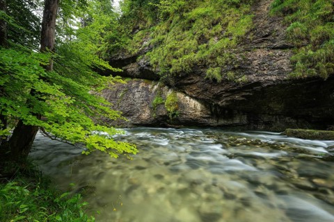Wild and romantic Weißbach Gorge near Inzell