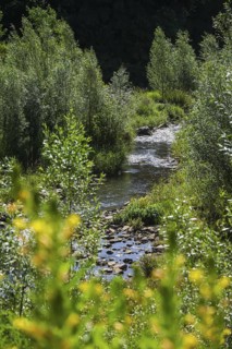 Bottrop, North Rhine-Westphalia, Germany - Renaturalised Boye, the tributary of the Emscher, was