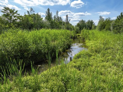 Bottrop, North Rhine-Westphalia, Germany - Renaturalised Boye, the tributary of the Emscher, was