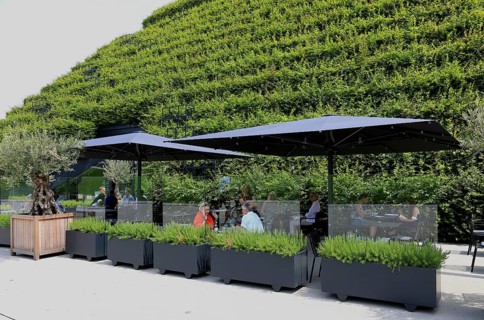 Climate protection. Europe's largest green façade 30, 000 young hornbeams thrive on the roof and