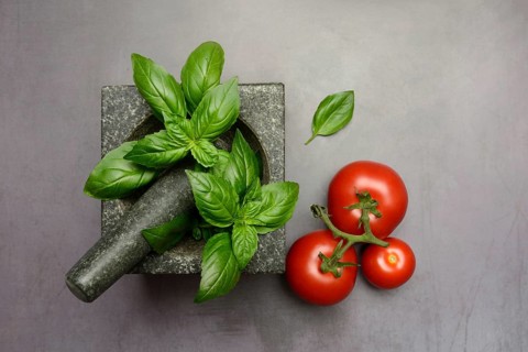 Basil in mortar and tomato, Ocimum basilicum, Solanum lycopersicum