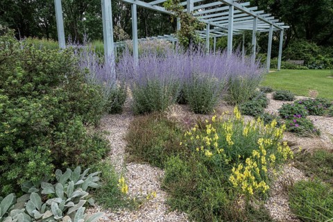 Karl Förster Garden, Gardens of the World, Berlin, Germany