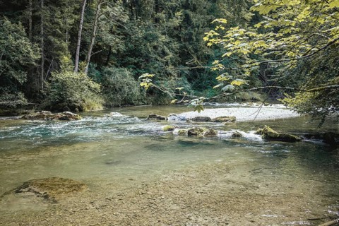 Mangfall near Bruckmühl, district of Miesbach, Upper Bavaria, Bavaria, Germany