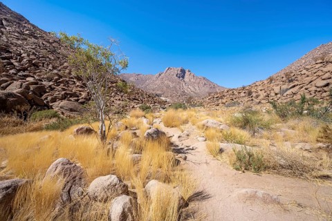 Tsisab Gorge, White Lady Trail, desert landscape with mountains, Brandberg, Erongo, Damaraland,