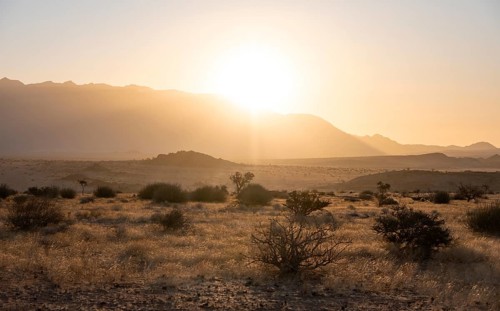 Desert landscape in the evening light at sunset, Brandberg, Erongo, Damaraland, Namibia