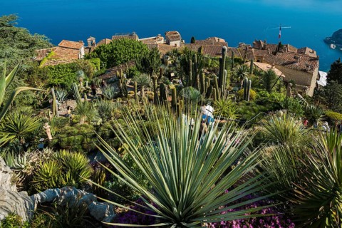 Picturesque mountain village overlooking the sea, Jardin Exotique, Èze, Cote d'Azur,