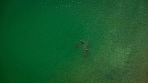 Aerial view of people enjoying the refreshing waters of covas beach in viveiro, a stunning coastal