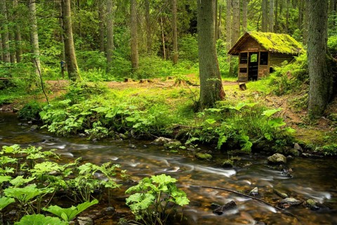 The Rötenbachschluchthütte in the forest, with moss on the roof. In front of it the Rötenbach with