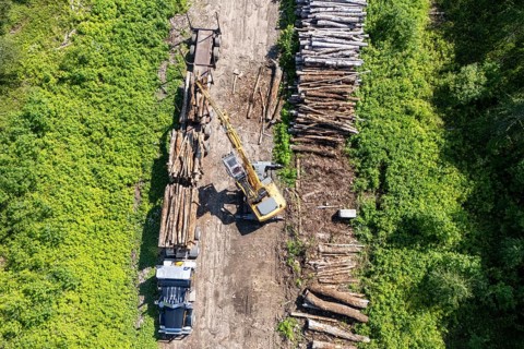 Tractor loading timber on a heavy hauler, Region of La Mauricie, Province of Quebec, Canada, North