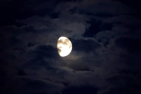 Picturesque sky with moon, moonlit night, July, Germany