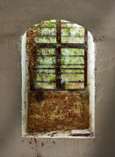 Basement window in abandoned cellar, covered with cobwebs and dried ivy
