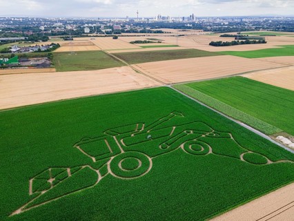 The maize maze of the Maize Spirits near Weißkirchen, near Frankfurt am Main, shows a combine