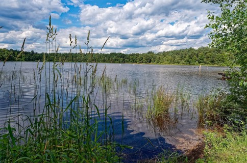The Bullensee is located in a moorland area and is part of the Bullensee and Hemelsmoor nature