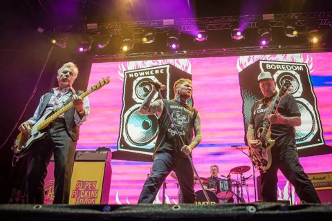 Steve Jones (guitarist), Frank Carter (singer), Paul Cook (drummer) and Glen Matlock (bassist) from